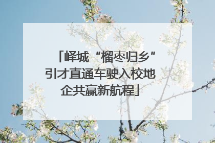 峄城“榴枣归乡”引才直通车驶入校地企共赢新航程