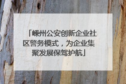 嵊州公安创新企业社区警务模式，为企业集聚发展保驾护航