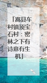 嵩县车村镇顶宝石村：密林之下有诗意有生机