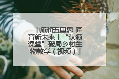 师润五里界 匠育新未来丨“认领课堂”破局乡村生物教学（视频）