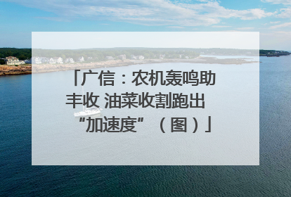 广信：农机轰鸣助丰收 油菜收割跑出“加速度”（图）