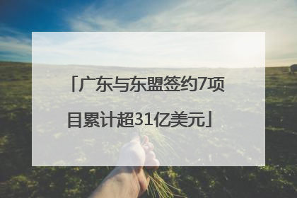 广东与东盟签约7项目累计超31亿美元
