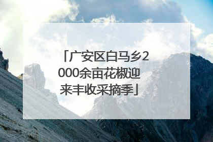 广安区白马乡2000余亩花椒迎来丰收采摘季