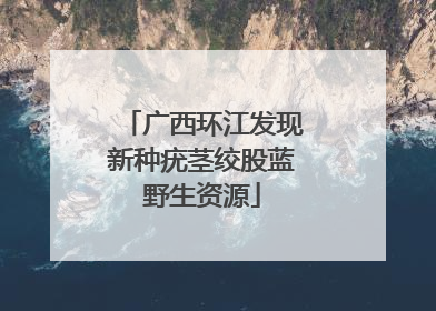 广西环江发现新种疣茎绞股蓝野生资源