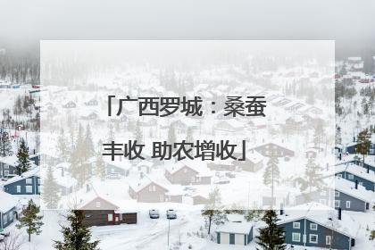 广西罗城：桑蚕丰收 助农增收