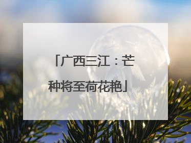 广西三江：芒种将至荷花艳
