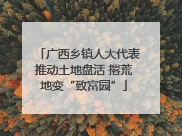广西乡镇人大代表推动土地盘活 撂荒地变“致富园”