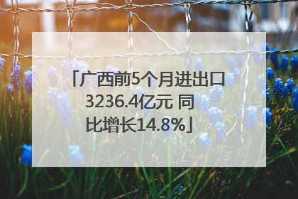 广西前5个月进出口3236.4亿元 同比增长14.8%