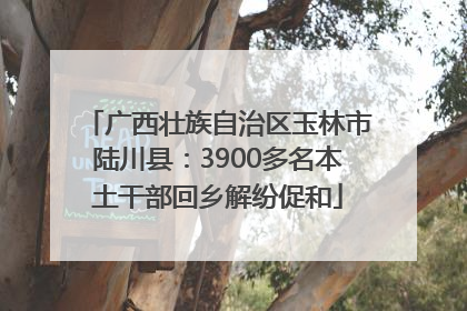 广西壮族自治区玉林市陆川县：3900多名本土干部回乡解纷促和