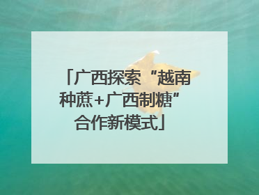 广西探索“越南种蔗+广西制糖”合作新模式