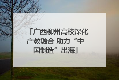 广西柳州高校深化产教融合 助力“中国制造”出海
