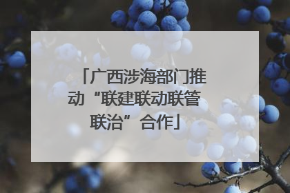 广西涉海部门推动“联建联动联管联治”合作
