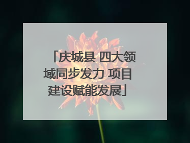 庆城县 四大领域同步发力 项目建设赋能发展