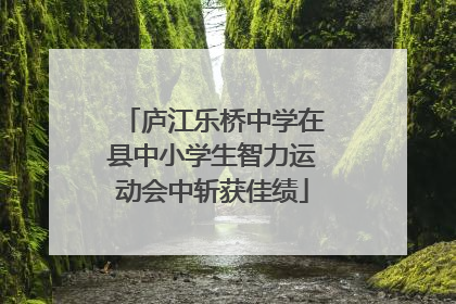庐江乐桥中学在县中小学生智力运动会中斩获佳绩