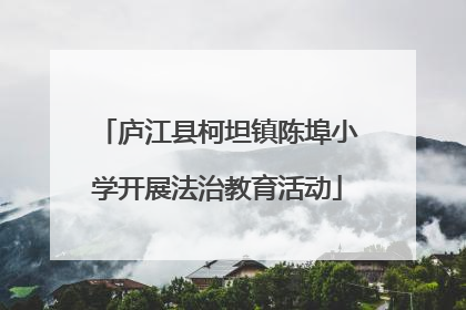 庐江县柯坦镇陈埠小学开展法治教育活动