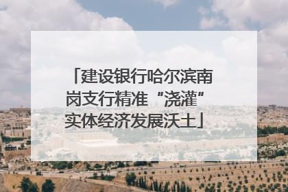 建设银行哈尔滨南岗支行精准“浇灌”实体经济发展沃土