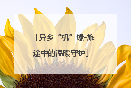 异乡“机”缘-旅途中的温暖守护