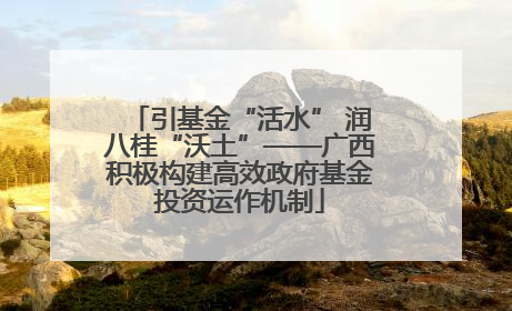引基金“活水” 润八桂“沃土”——广西积极构建高效政府基金投资运作机制