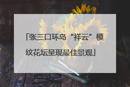 张三口环岛“祥云”模纹花坛呈现最佳景观