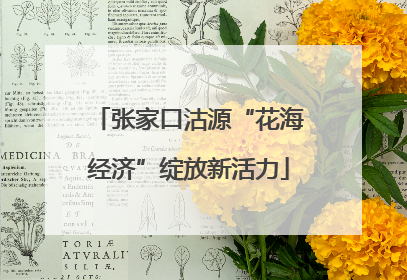 张家口沽源“花海经济”绽放新活力