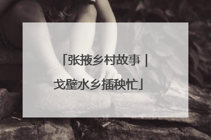 张掖乡村故事｜戈壁水乡插秧忙