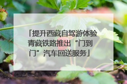 提升西藏自驾游体验 青藏铁路推出“门到门”汽车回送服务