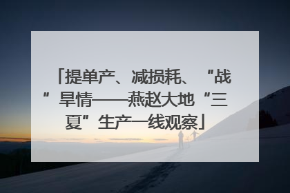 提单产、减损耗、“战”旱情——燕赵大地“三夏”生产一线观察