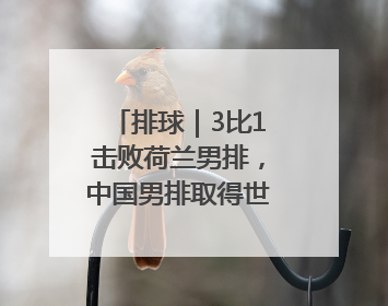 排球｜3比1击败荷兰男排，中国男排取得世联赛两连胜
