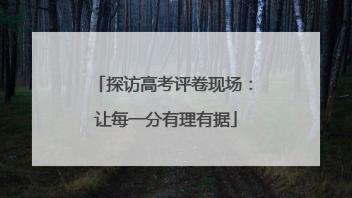 探访高考评卷现场：让每一分有理有据