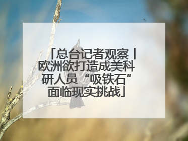 总台记者观察丨欧洲欲打造成美科研人员“吸铁石”面临现实挑战