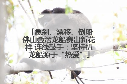 急刹、漂移、倒船 佛山叠滘龙船赛出新花样 连线鼓手：坚持扒龙船源于“热爱”