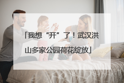 我想“开”了！武汉洪山多家公园荷花绽放