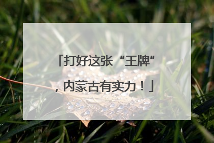 打好这张“王牌”，内蒙古有实力！