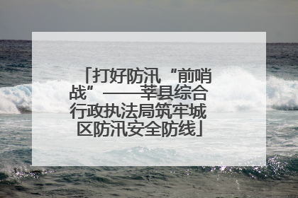 打好防汛“前哨战”——莘县综合行政执法局筑牢城区防汛安全防线