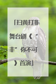 扫黄打非舞台剧《“非”你不可》首演
