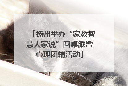 扬州举办“家教智慧大家说”圆桌派暨心理团辅活动