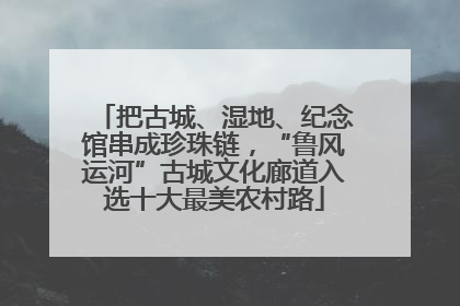 把古城、湿地、纪念馆串成珍珠链，“鲁风运河”古城文化廊道入选十大最美农村路