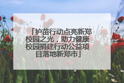 护苗行动点亮新郑校园之光，助力健康校园捐建行动公益项目落地新郑市