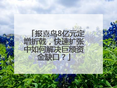 报喜鸟8亿元定增折戟，快速扩张中如何解决巨额资金缺口？