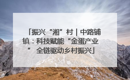 振兴“湘”村｜中路铺镇：科技赋能“金蛋产业” 全链驱动乡村振兴
