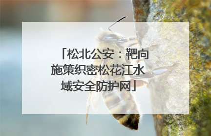 松北公安：靶向施策织密松花江水域安全防护网