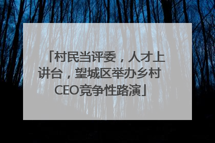 村民当评委，人才上讲台，望城区举办乡村CEO竞争性路演