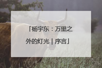 杨宇东：万里之外的灯光｜序言