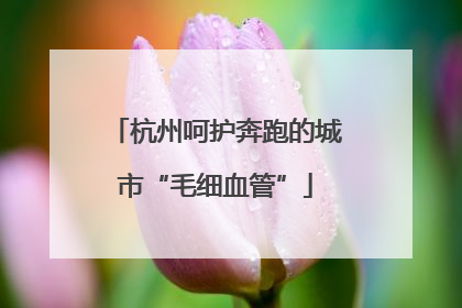杭州呵护奔跑的城市“毛细血管”