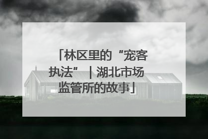 林区里的“宠客执法”｜湖北市场监管所的故事