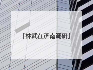 林武在济南调研