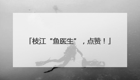 枝江“鱼医生”，点赞！