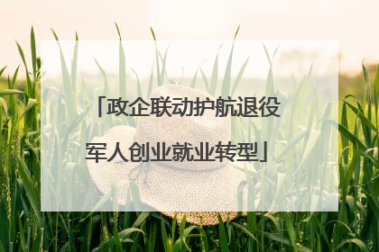 政企联动护航退役军人创业就业转型