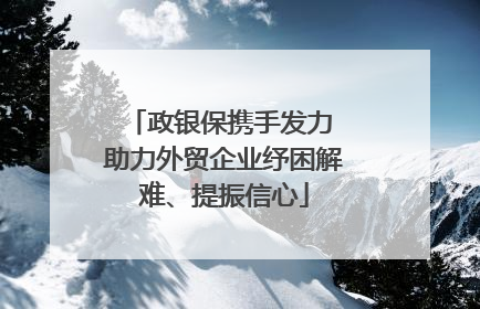 政银保携手发力 助力外贸企业纾困解难、提振信心