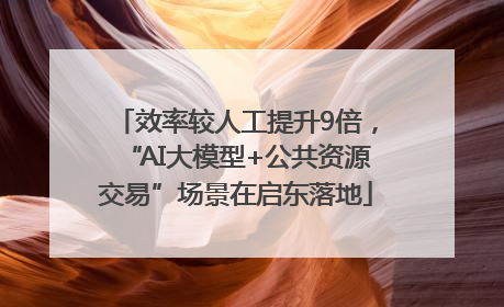 效率较人工提升9倍，“AI大模型+公共资源交易”场景在启东落地
